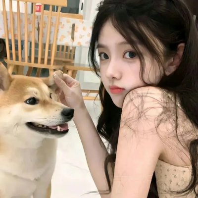 小镇猪事